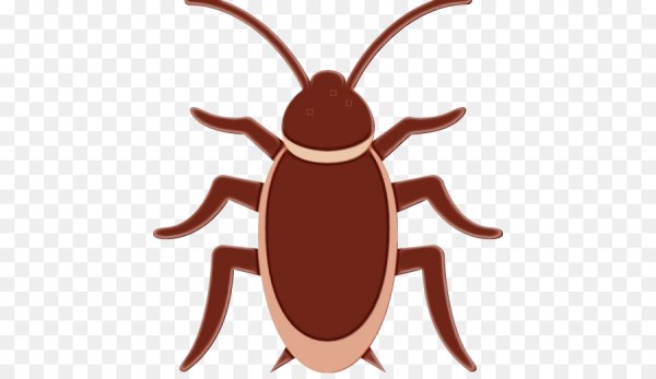 ЭМОДЖИ таракан