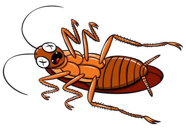 Мультяшный таракан без фона