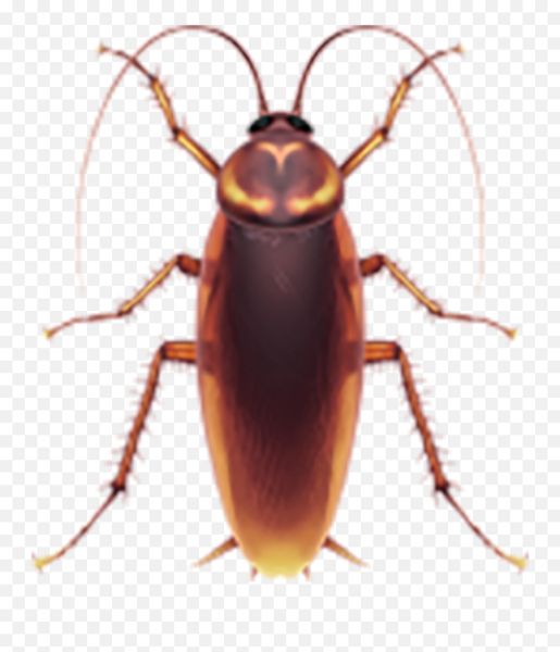 Смайлик таракан