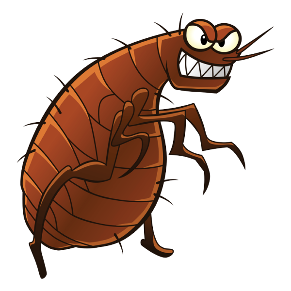 Хитрый таракан