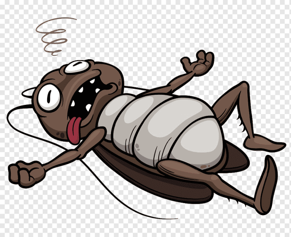 Таракан Валера