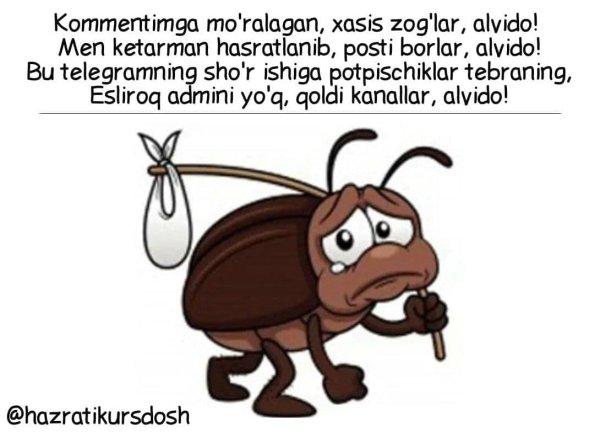 Таракан грустит