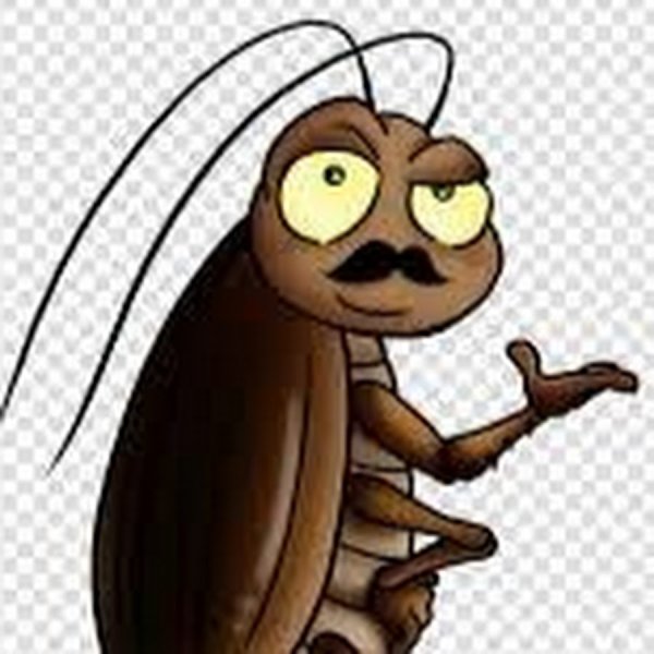 Усатый таракан