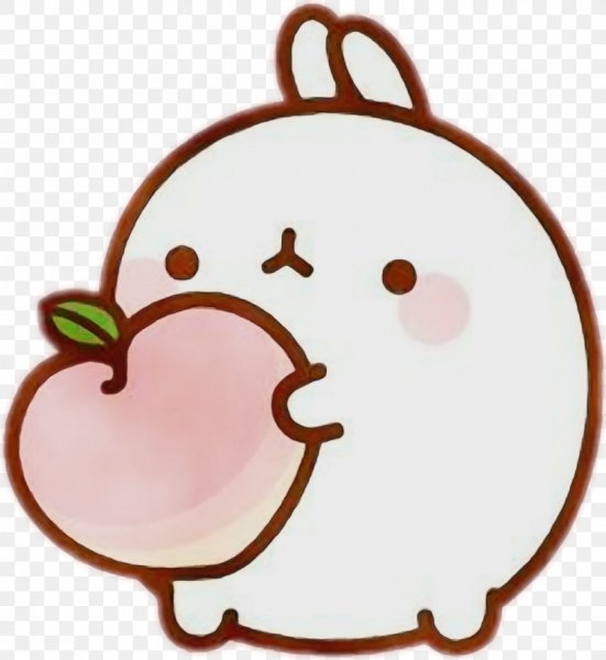 Японский кролик Моланг