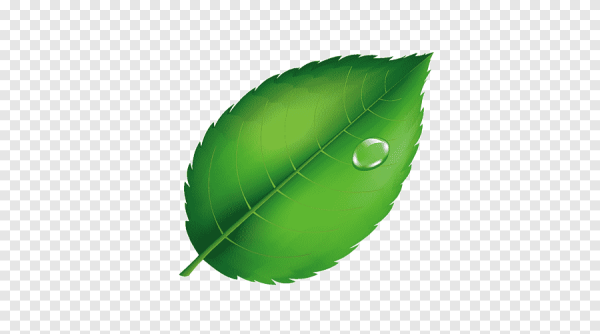 ЭМОДЖИ Росток айфон