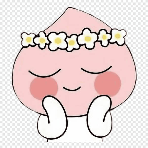 Флаг Республики Корея