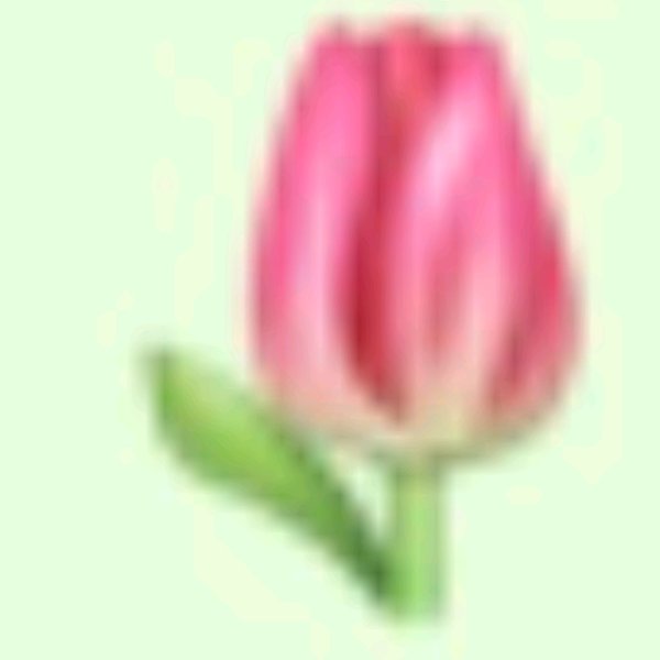 Тюльпан стикер