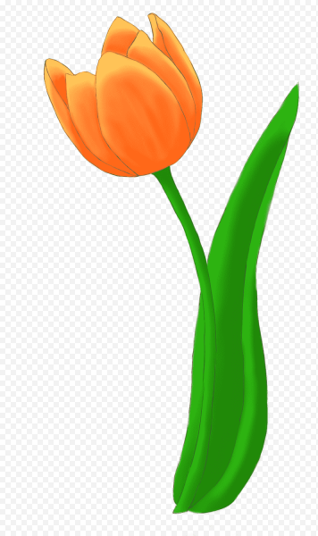 Tulip флэт иконки