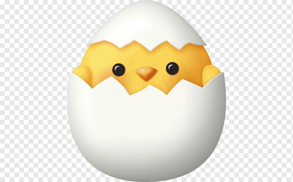 Яйцо цыпленок