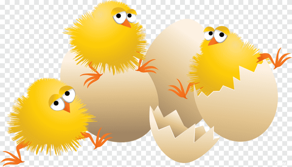 Весёлый цыплёнок