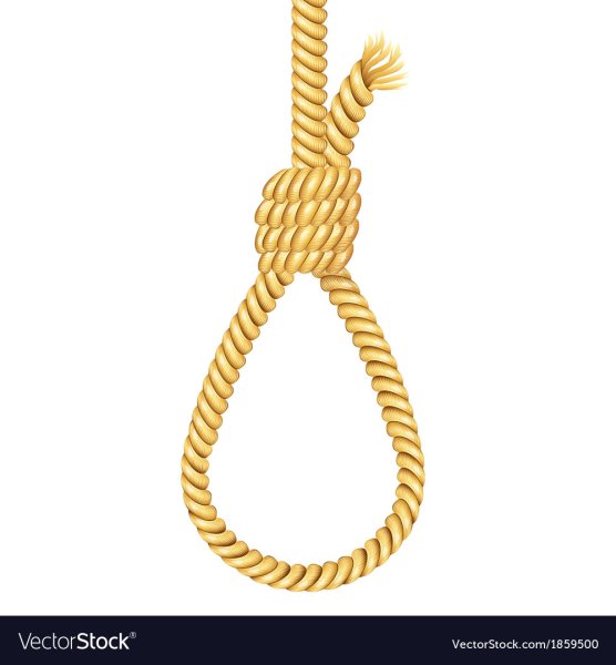 Веревка петля на прозрачном фоне