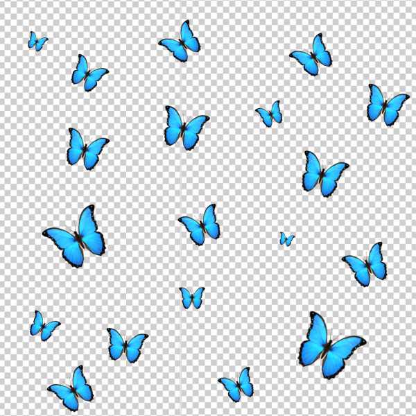 Бабочки много на голубом фоне