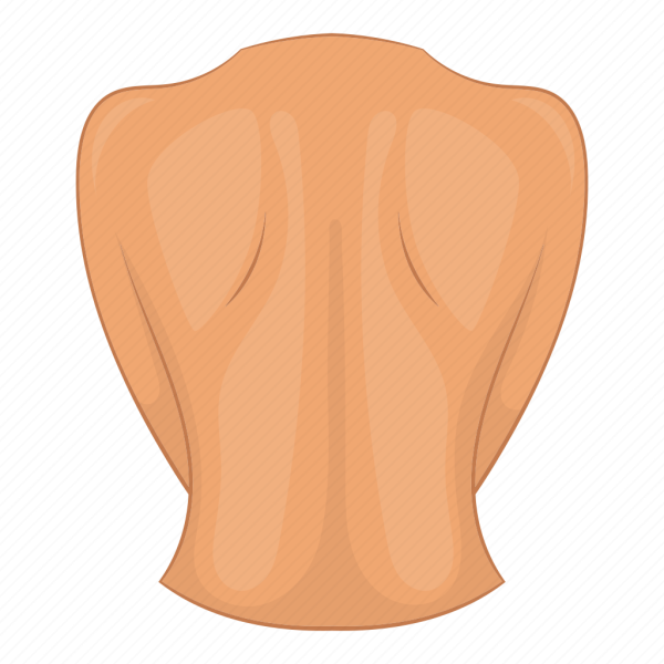 Позвоночник пиктограмма