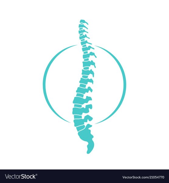 Качок со спины