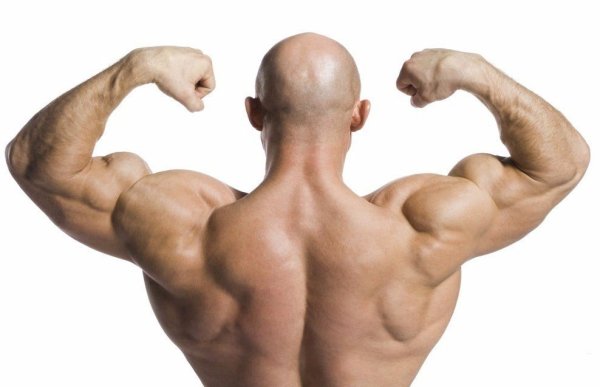 Стилизованный позвоночник