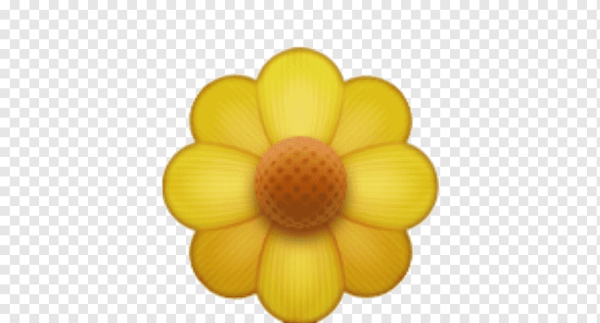 Цветок смайлик айфон