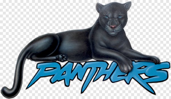 Пантера надпись
