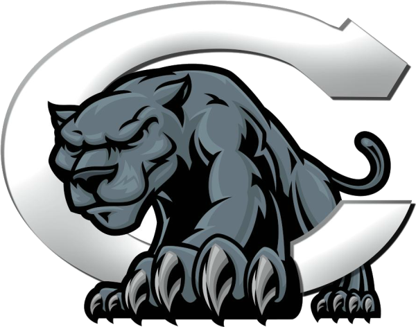 Символ пантеры