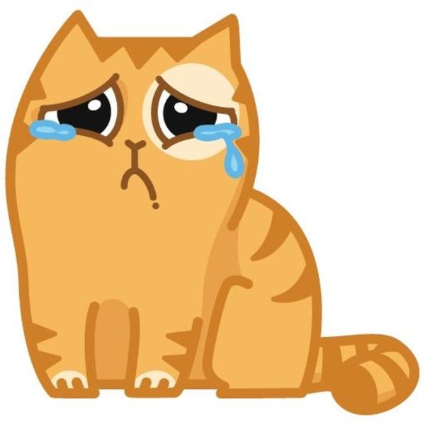 Кот персик Стикеры