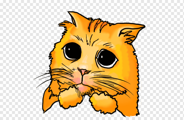 Удивленный котик нарисованный прозрачный фон