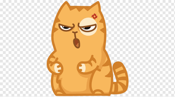 Котик персик