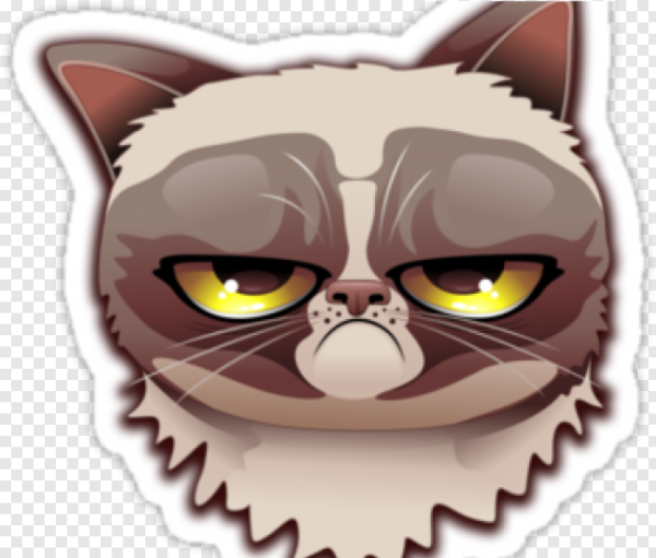 Стикер недовольный кот