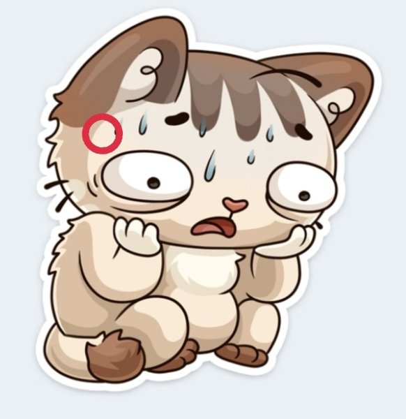 Стикеры ВК котик