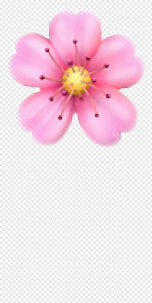 Цветочек эмодзи айфон