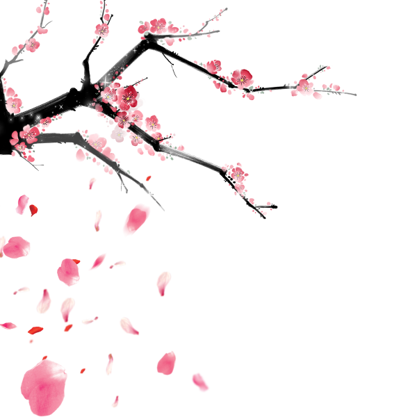 Листья Сакуры