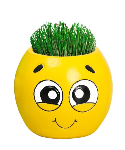 Горшок с глазками