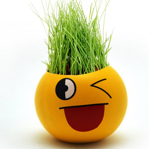 Травянчик человечек