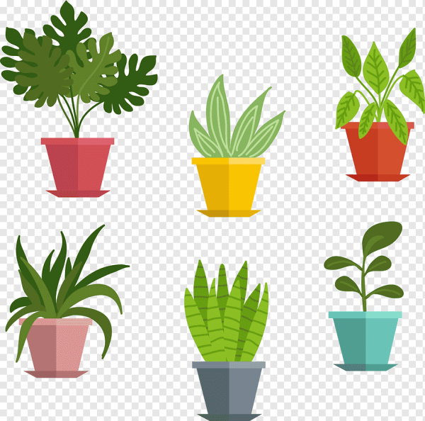 Растение в горшке вектор