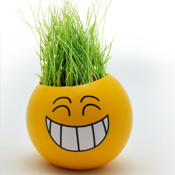 Рожицы на цветочных горшках