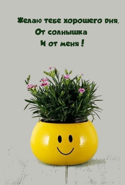 Рожицы на горшках для цветов