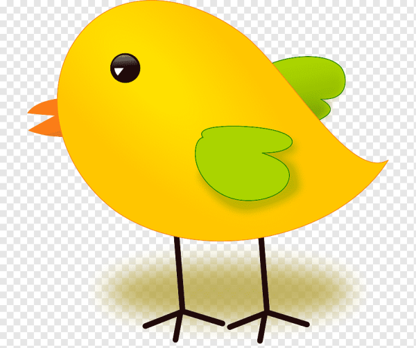 Цыпленок вектор