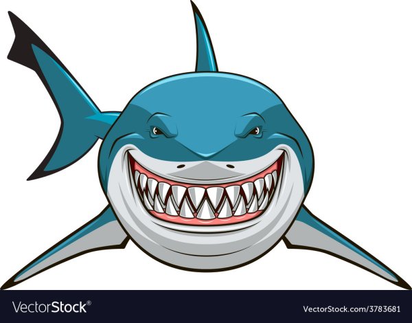 Зубастая акула вектор