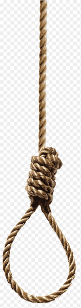 Верёвка петля на белом фоне