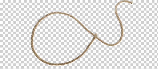 Лассо в фотошопе