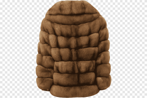 Шубка на прозрачном фоне