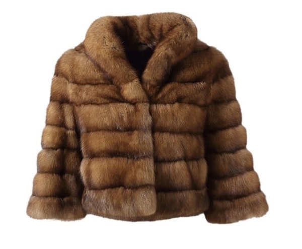 Норковая шуба на прозрачном фоне