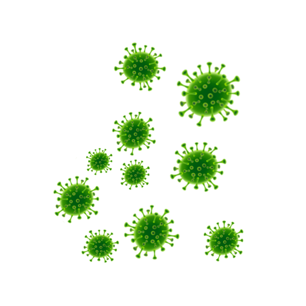Вирус без фона