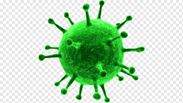 Вирус зеленый
