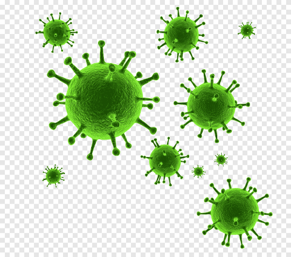 Вирус коронавирус