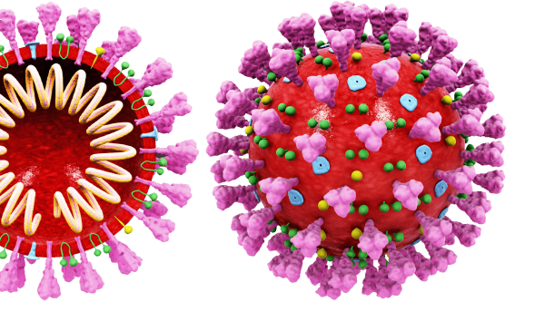 Коронавирус Дельта модель