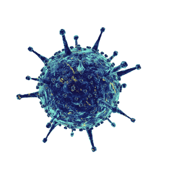 Вирус коронавирус