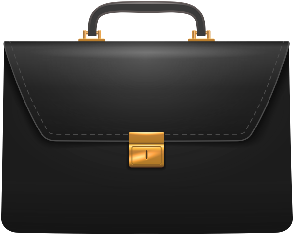 Векторный портфель