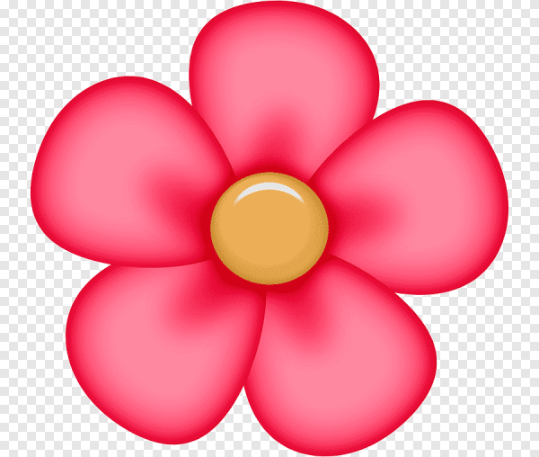 Цветы для детей на прозрачном фоне