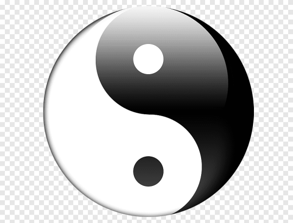 Школа Инь Ян