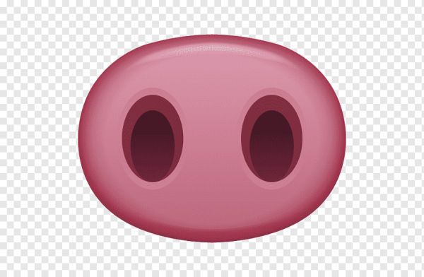 Поросенок винки