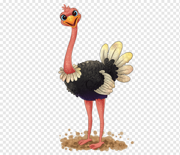 Страус для детей